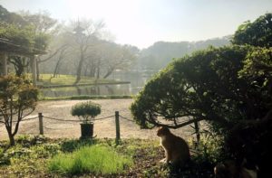 Yokohama Sankeien Garden