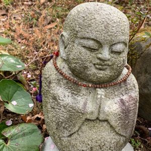Book Zen Experience Gotemba Hidden Gems Tour