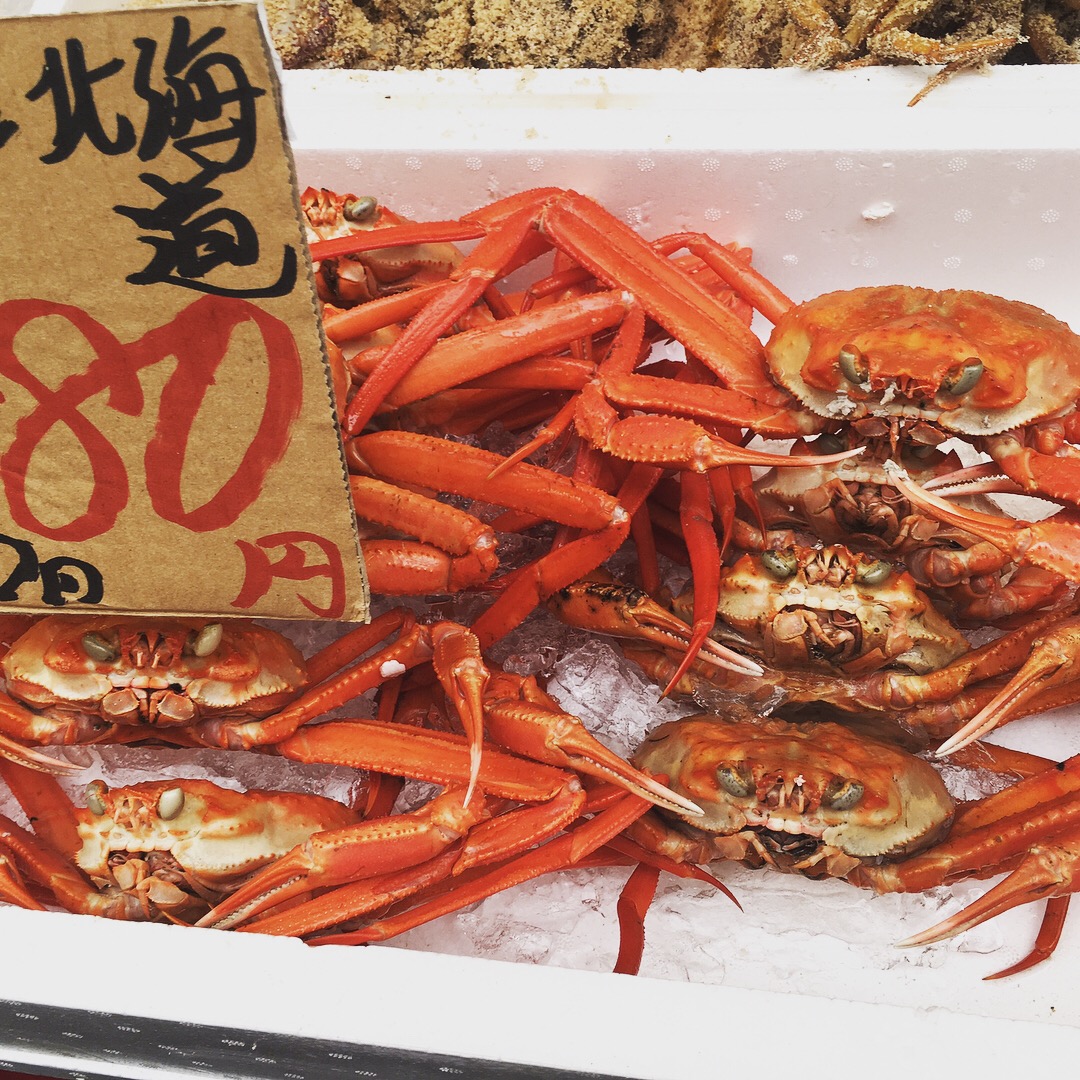 Featured image for Crab: The King of Winter Seafood in Japan