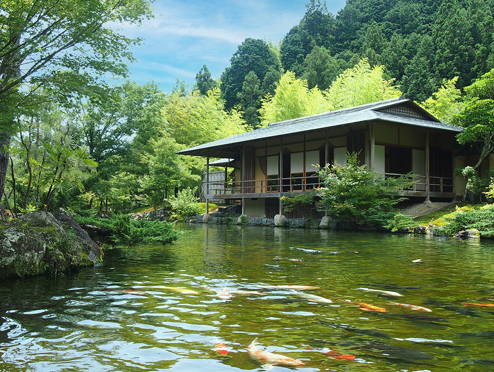 Featured image for Gyokuro no sato, a tea paradise in Shizuoka