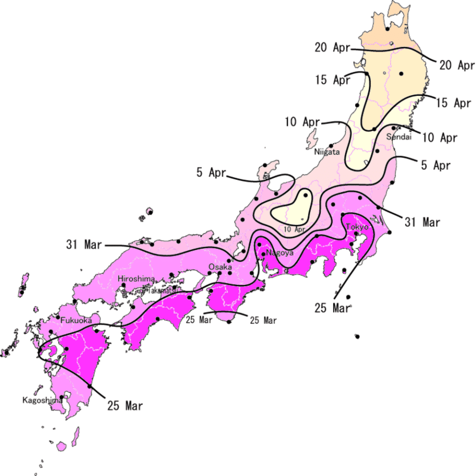 UPDATED Cherry Blossom Forecast 2023 Catch the Early Blooming Dates for the Sakura Season This