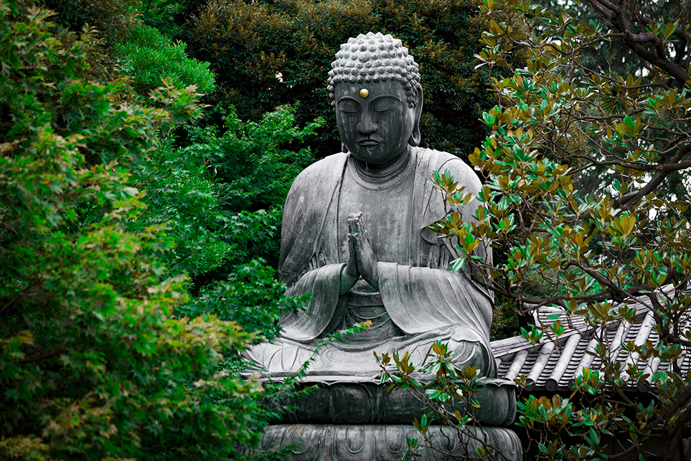 Buddha