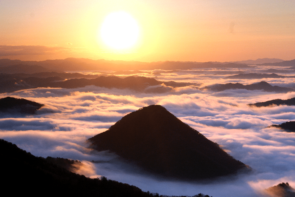 Featured image for Zen, Waterfalls & Forests: Interview with Jesse  from Kyoto by the Sea