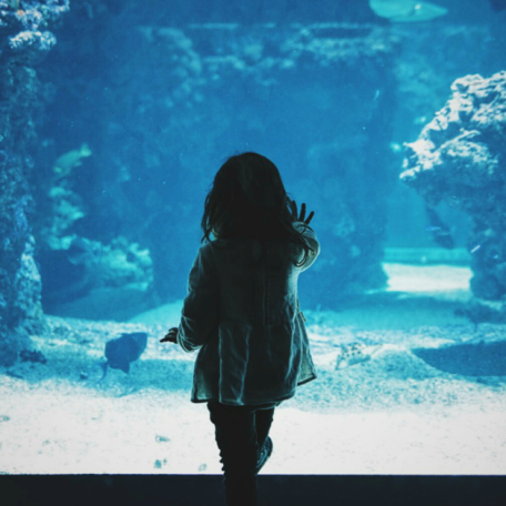 Recommended Blog