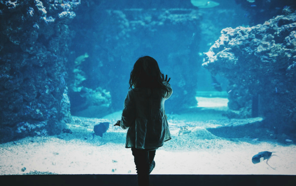 Featured image for Kidventures in Japan: Discover Must-Visit Museums for Your Little Ones