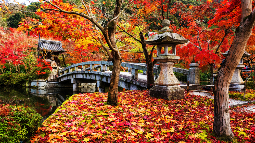 Main Header Background Image