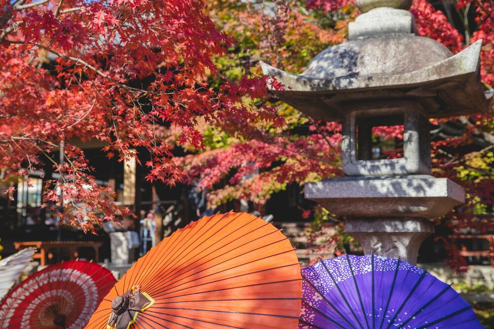 Falling for Flavors – What to Drink in Japan this Autumn