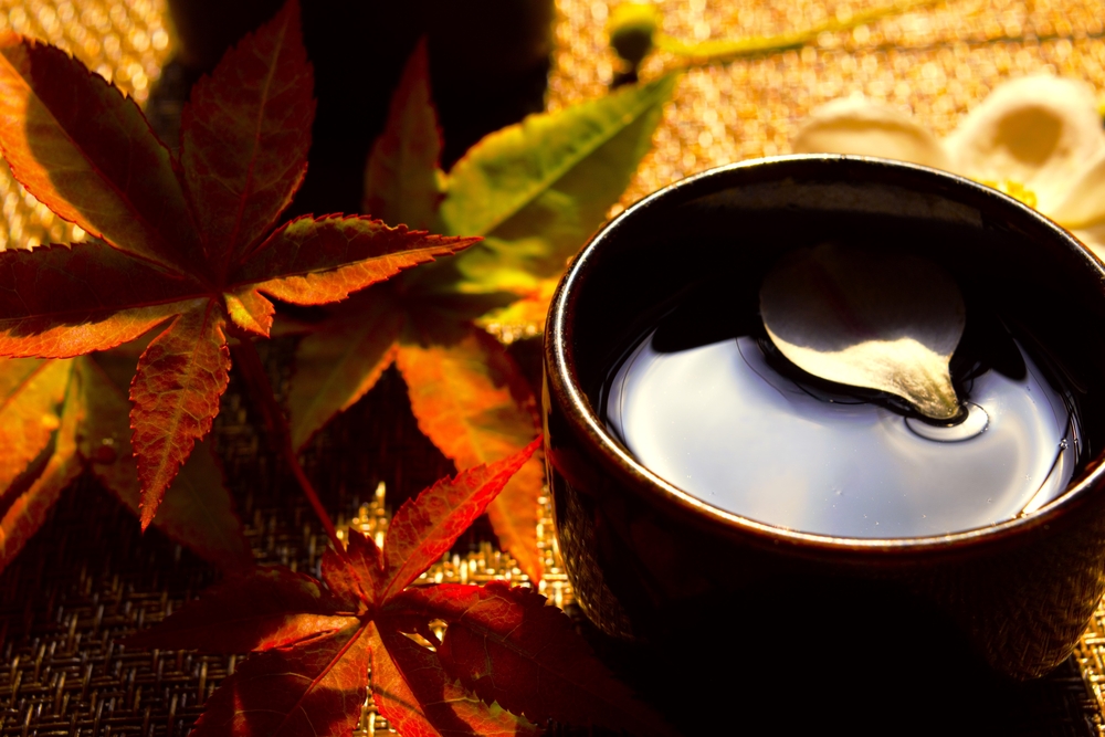Featured image for Kanpai to Fall – Japan’s New Sake Releases