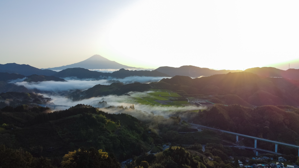 Featured image for Discovering Suruga: Japan’s Hidden Gem for Tea, Culture, and Cuisine
