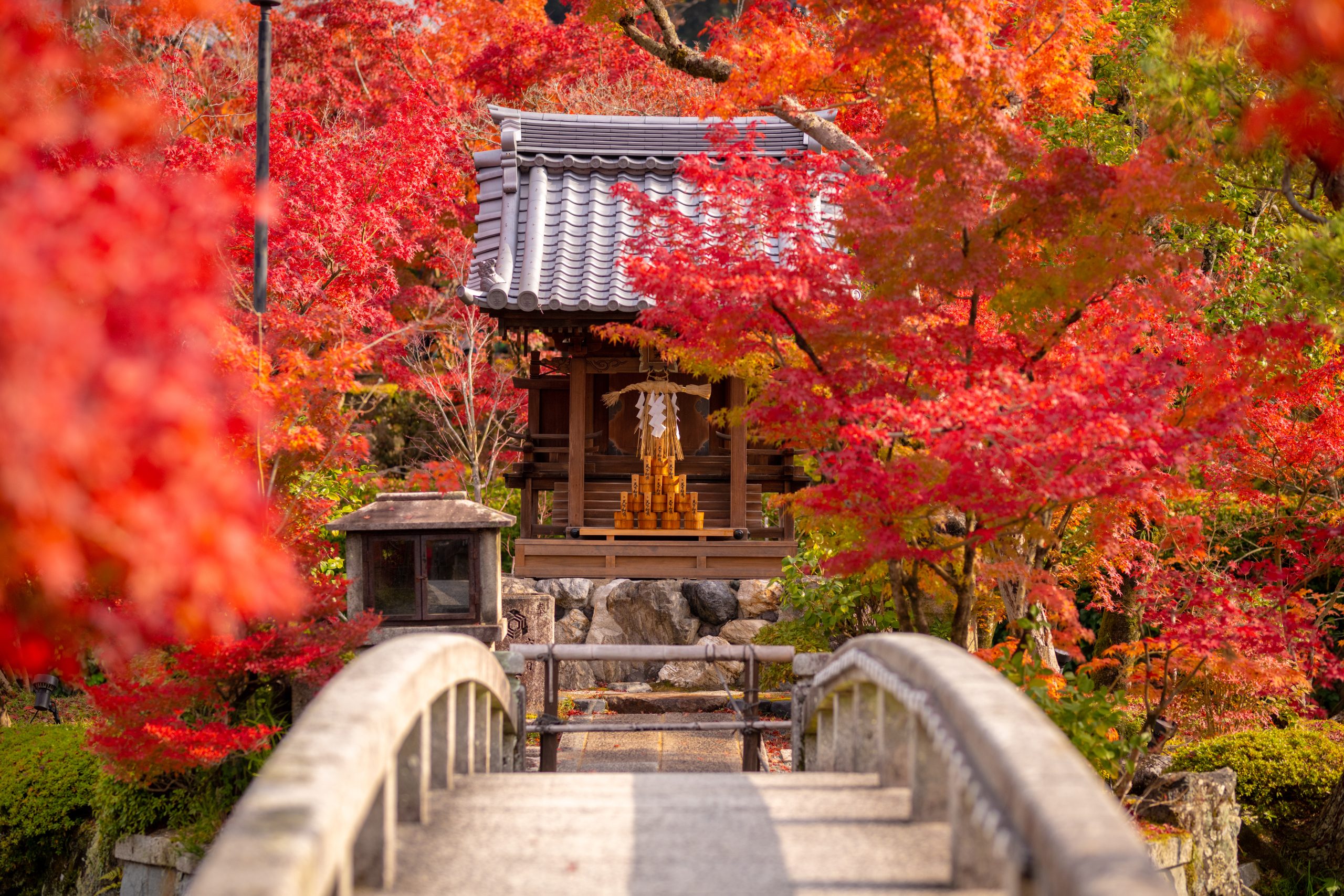 Featured image for THE IMPORTANCE OF AUTUMN IN JAPANESE CULTURE