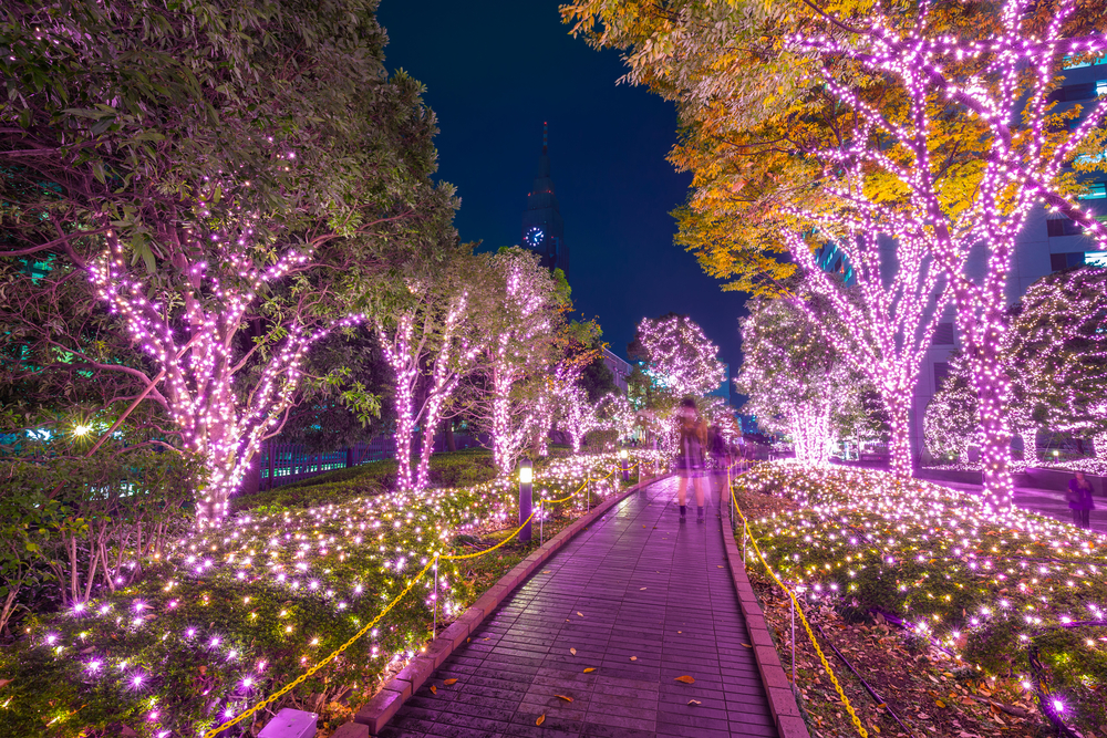 Shinjuku Winter Illumination