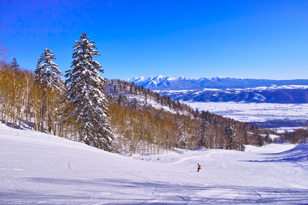 Featured image for Skiing Made Simple: Japan’s Best Resorts for Beginners