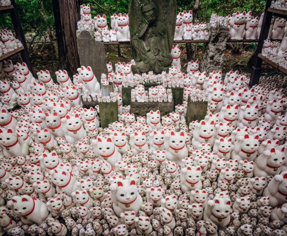 Goshuin DIY Workshop & Lucky Cat Temple Adventure — Made for Comic-Con Fans