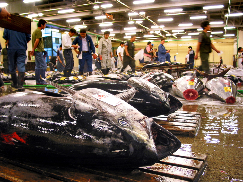 Featured image for Sushi Zanmai takes the lead again! Tokyo’s First Tuna Auction of 2026 Makes Headlines