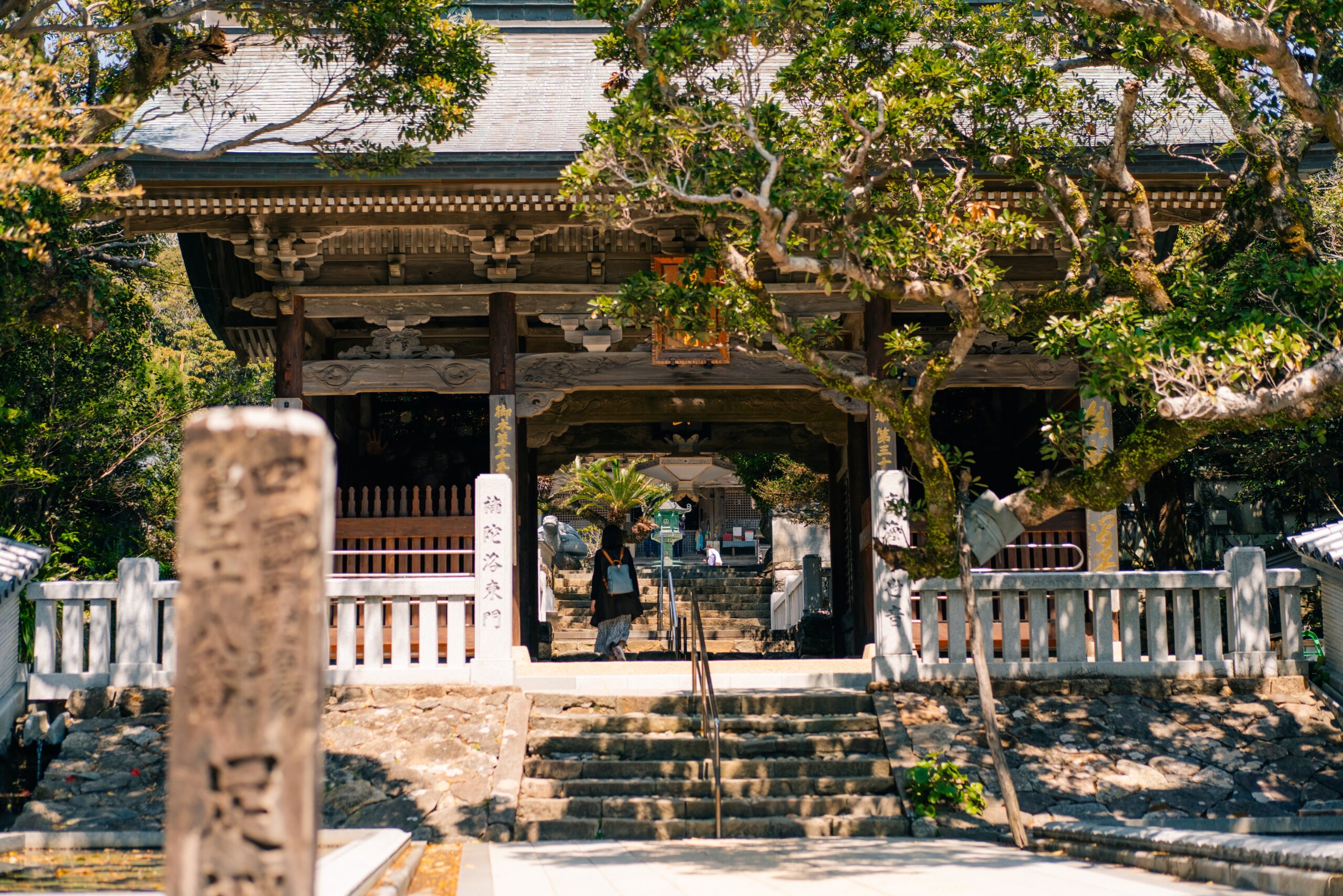 Unveiling The Hidden Gems of Shikoku