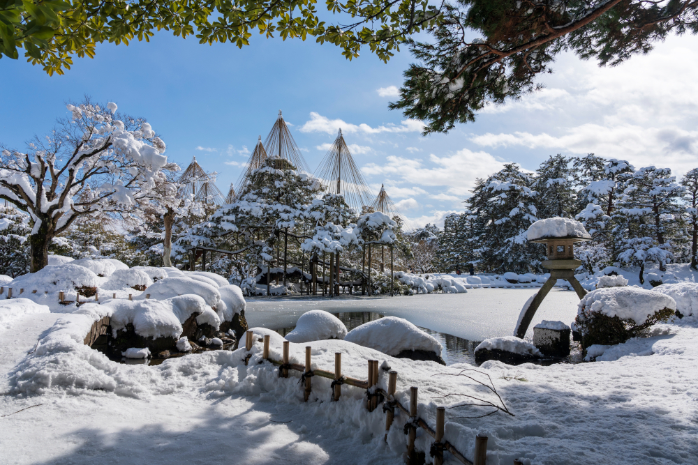 Featured image for Plum Blossoms & Patience: 28 February Affirmations for Quiet Growth