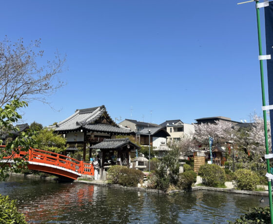 Kyoto Like a Local Food Tour