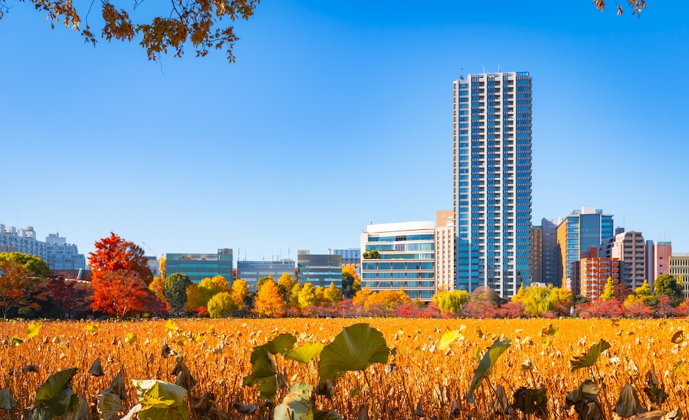 Featured image for One Day In Ueno: The Perfect Itinerary