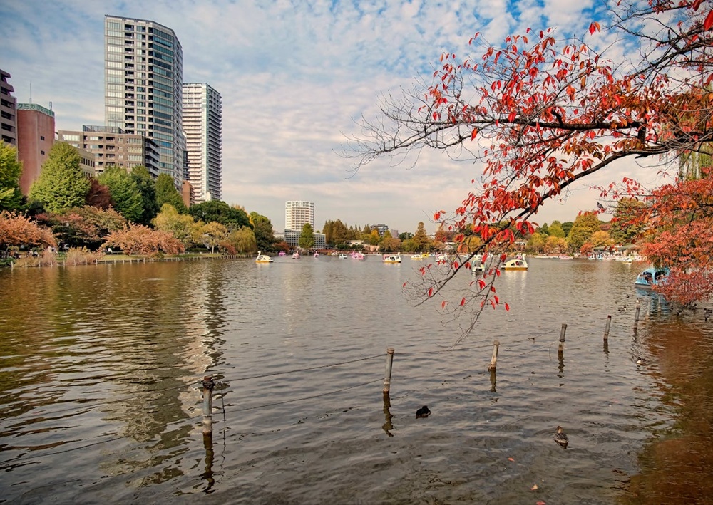 Family-Friendly Tokyo: Why Ueno Is Great for Multi-Generational Travelers